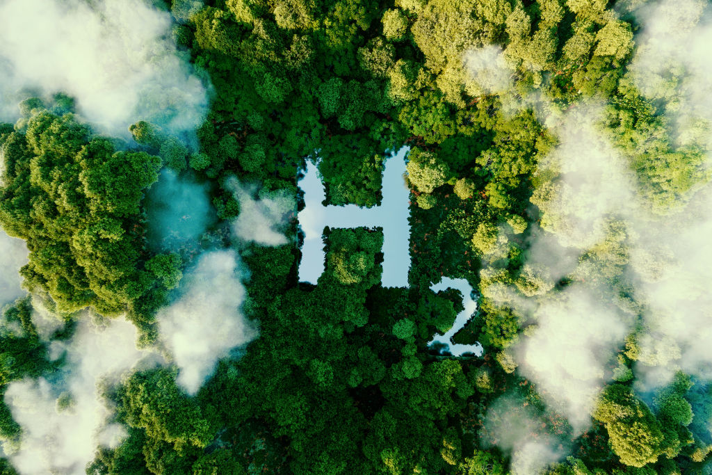 View from above of a forest through the clouds